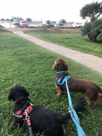 Freddy and Hercules in Spain